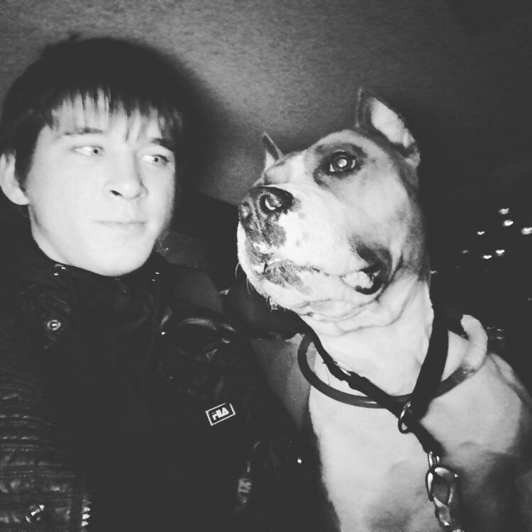 ���������� �������������, ���� ������� �����, 28 ���, ������������ ��� ������, ����� � ���������, c�������� ���������, ���������