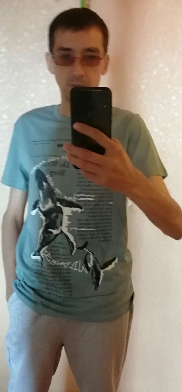  51120806  , 43 ,    
