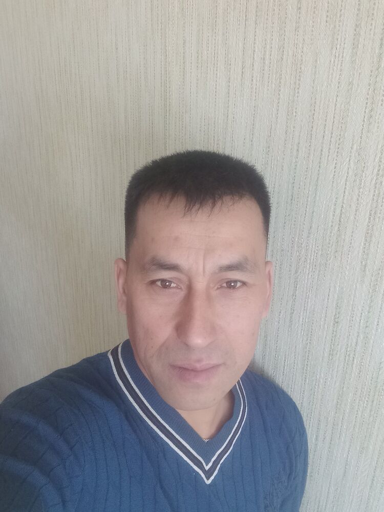  49045206  , 43 ,    