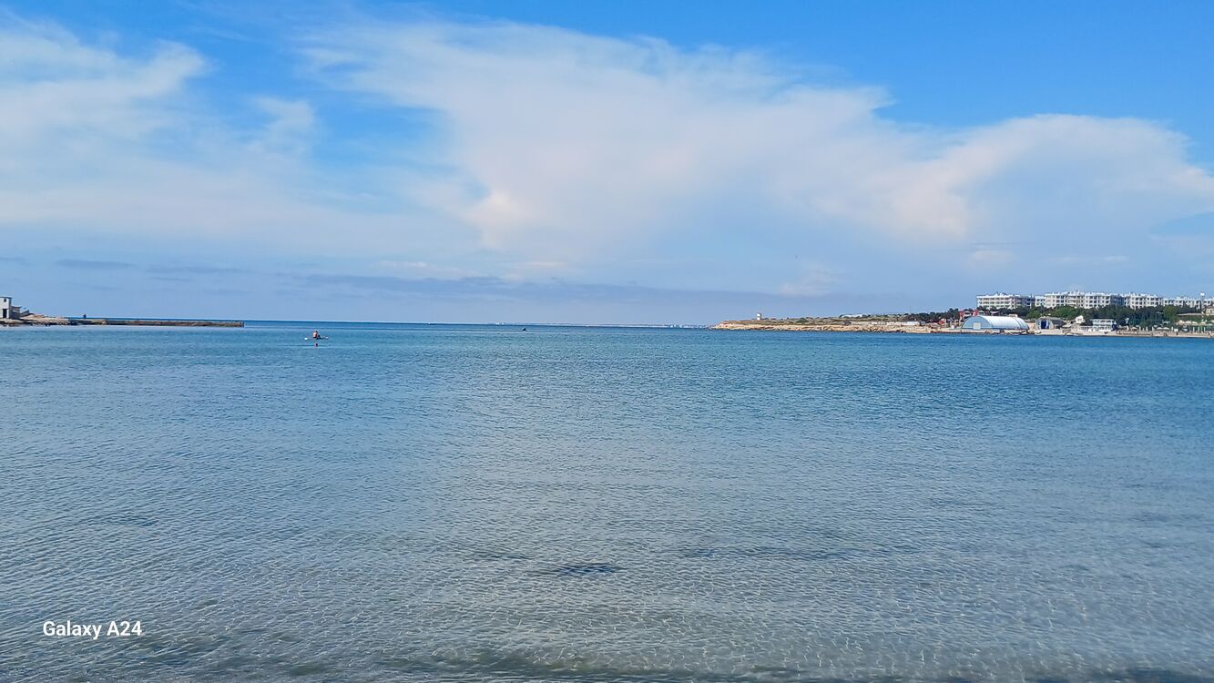 ���� 52110276 ����� ���������, 22 ����, ���� ���������� � �����������