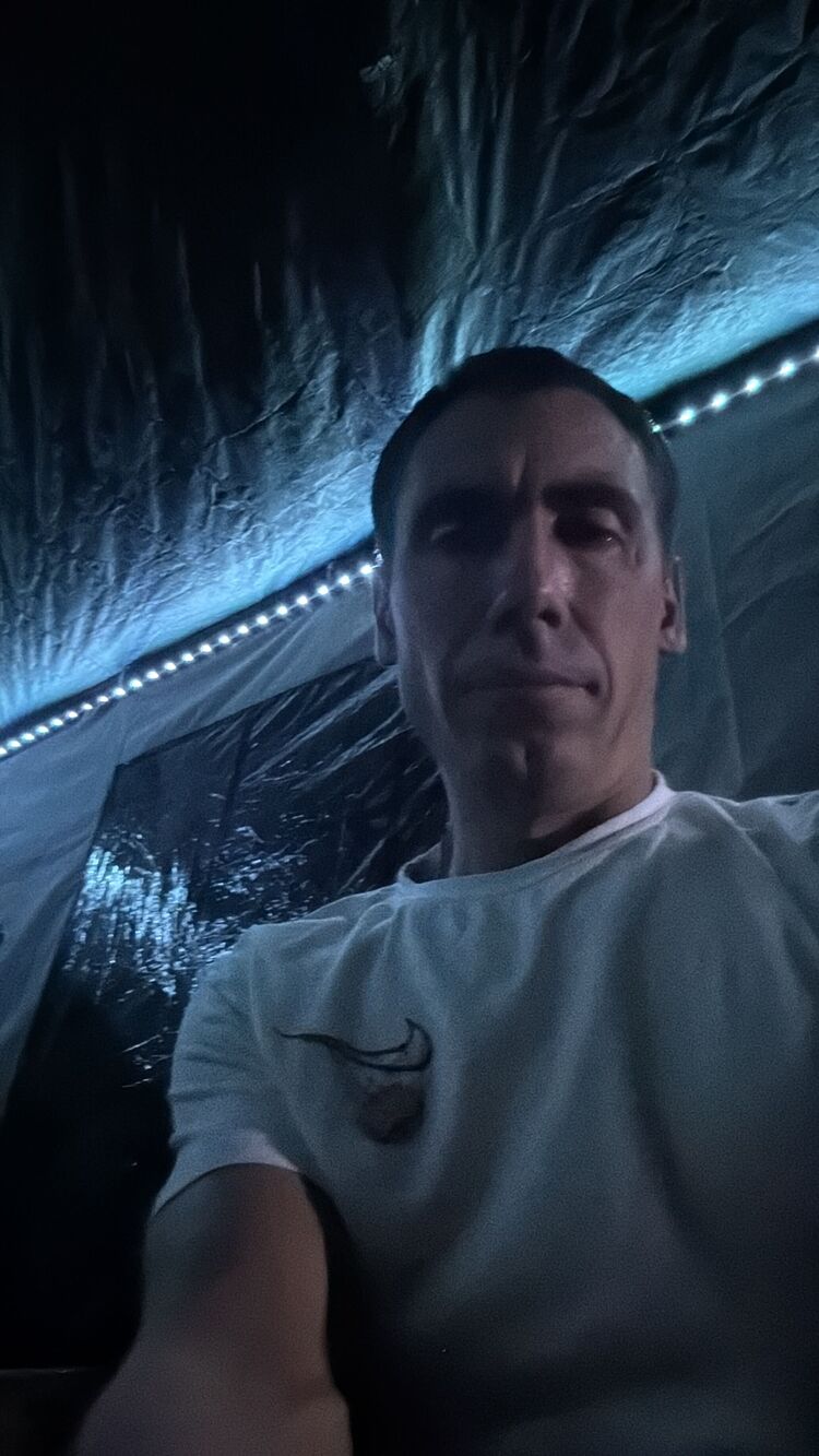  53388056  , 36 ,    