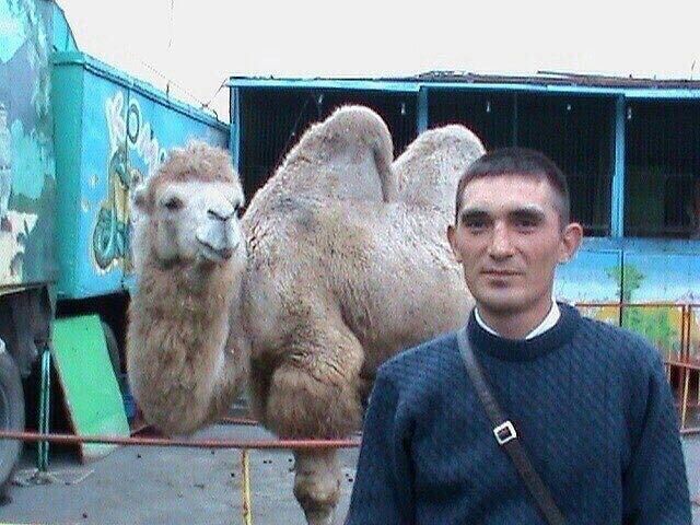 ���� 24255386 ������� ������, 44 ����, ���� ���������� � ��������