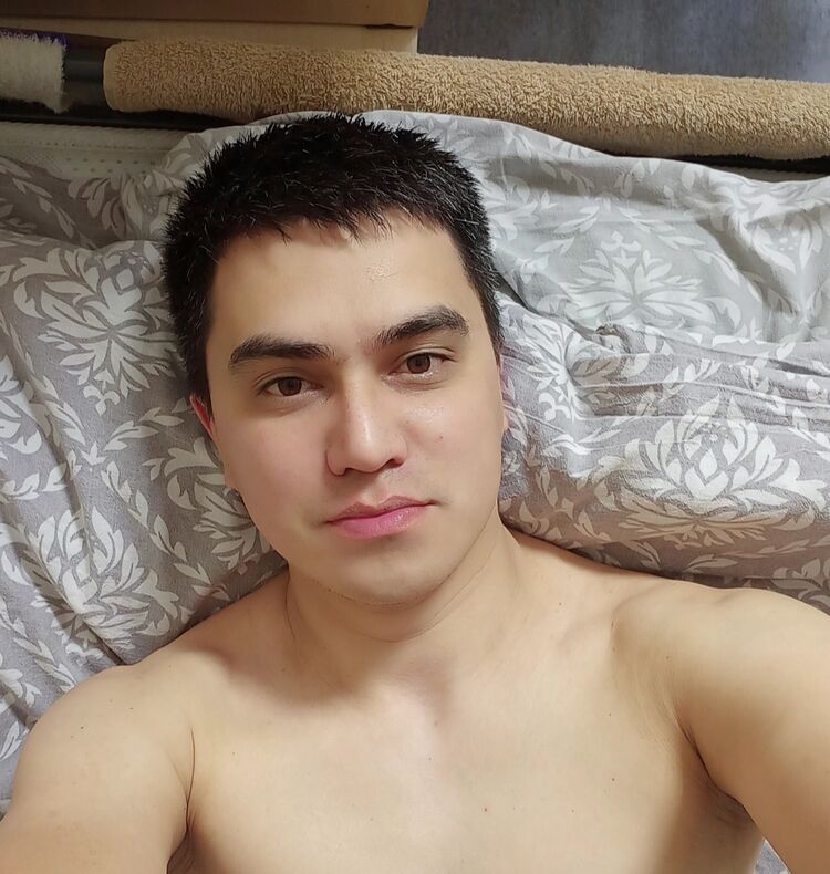  44455206  , 31 ,    