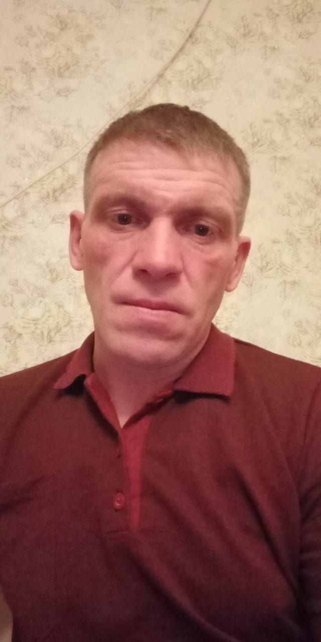  33816436  , 50 ,     