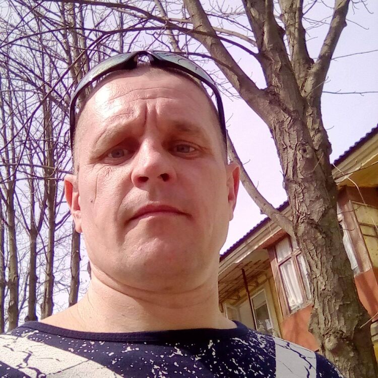 ���� 56153776 ������� ����, 46 ���, ���� ���������� � ���������