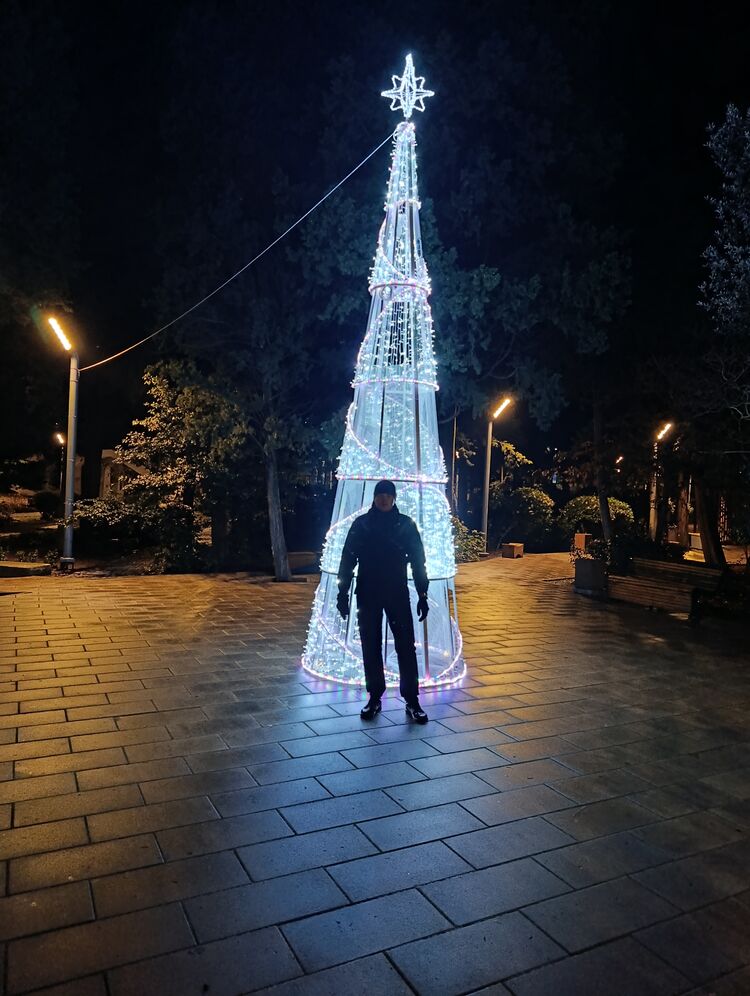 ���� 56075206 ������� �����, 31 ���, ���� ���������� � ����