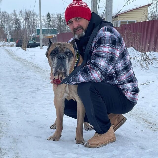 ���� 55972306 ������� ��������, 52 ����, ���� ���������� � ��������