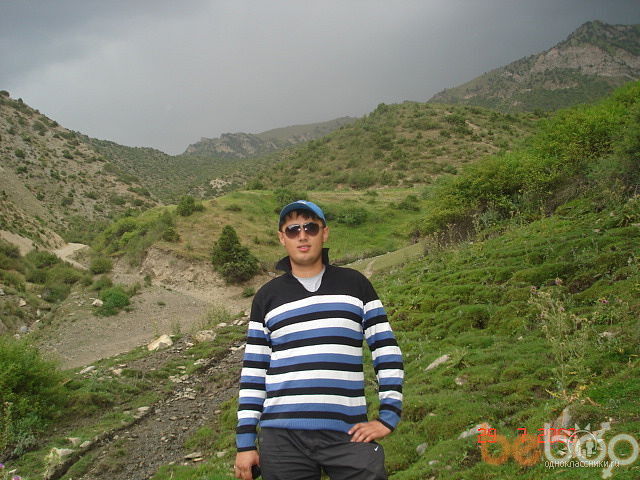  ,   EHSON, 40 ,     , c 
