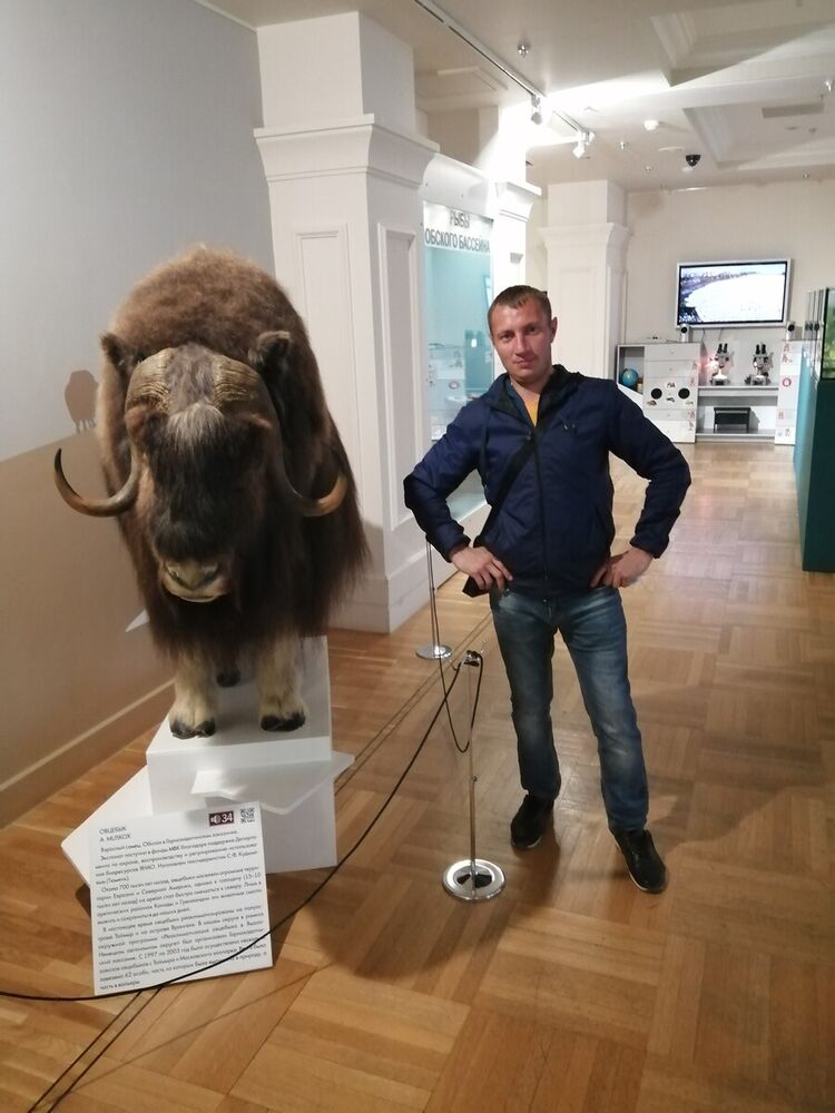 ���������� �����, ���� ������� �����, 43 ����, ������������ ��� ������, ����� � ���������, c�������� ���������