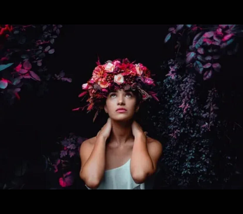 ���� 54934286 ������� ��������, 29 ���, ���� ���������� � ���