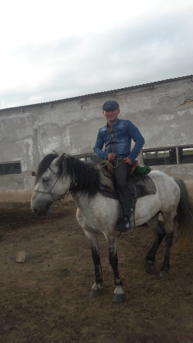 ���������� ������, ���� ������� ������, 37 ���, ������������ ��� ������, ����� � ���������, c�������� ���������