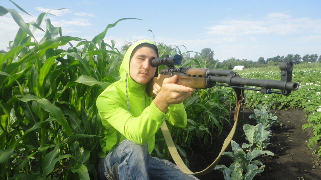  ,   Zorro, 28 ,   ,   