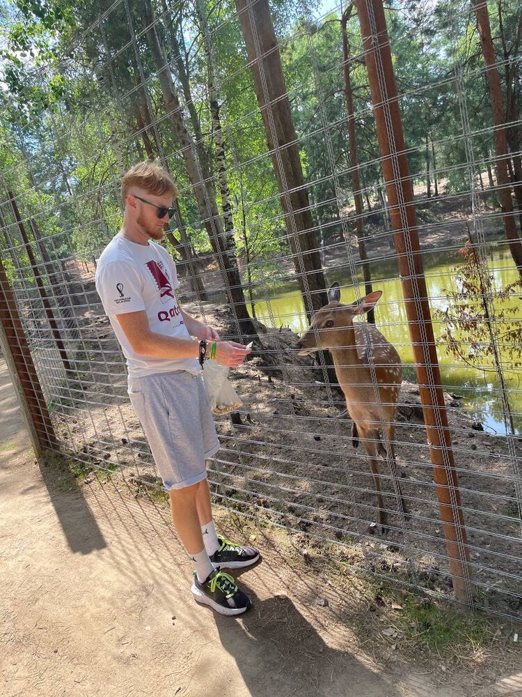 ���� 56302146 ������� �����, 33 ����, ���� ���������� � ������