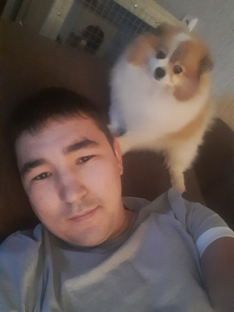 ���� 23358886 ������� �������, 26 ���, ���� ���������� � �����-����������