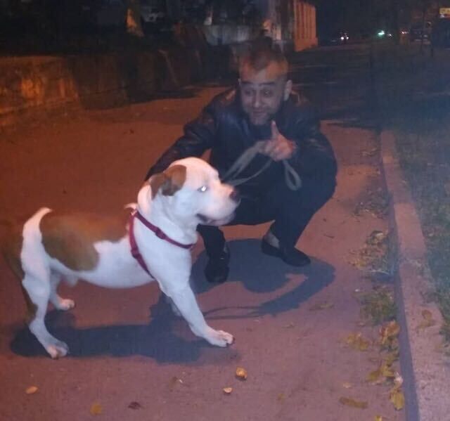 ���������� �����������, ���� ������� ����, 40 ���, ������������ ��� ������, c�������� ���������, ���������