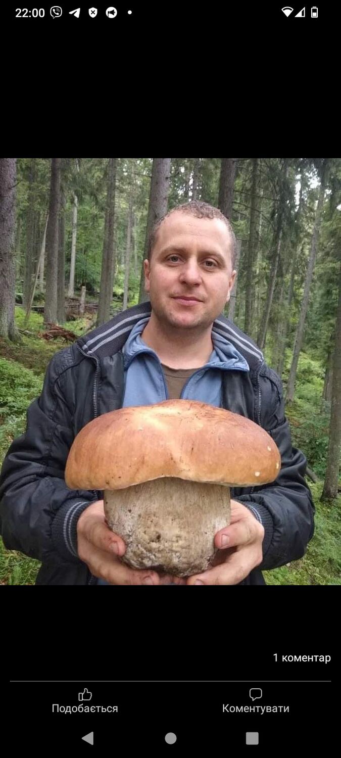 ���� 41520086 ������� �����, 31 ���, ���� ���������� � �����