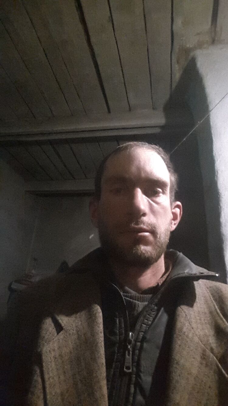  31295336  , 36 ,    