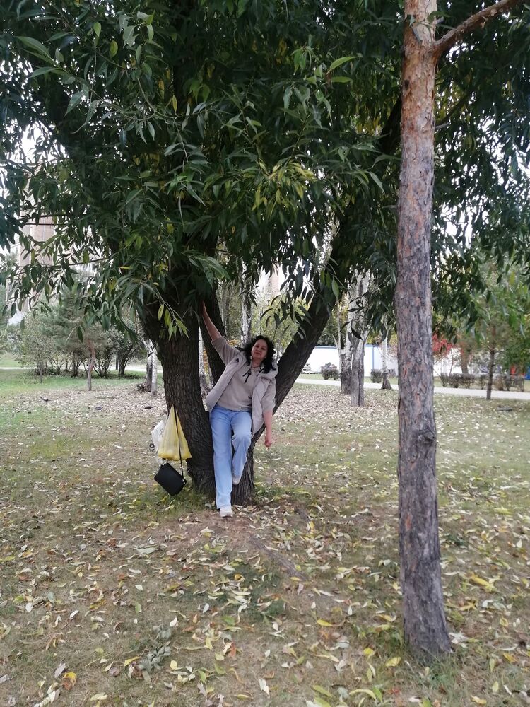 ���������� ����, ���� ������� ����, 58 ���, ������������ ��� c�������� ���������, ���������