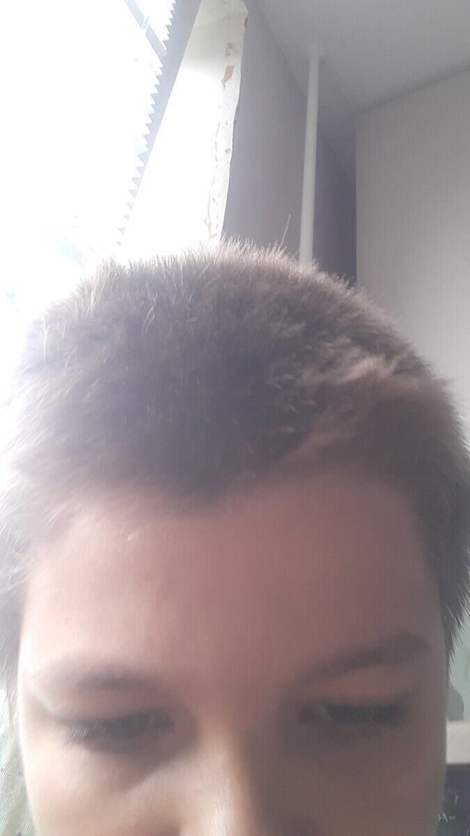  20426666  , 23 ,    