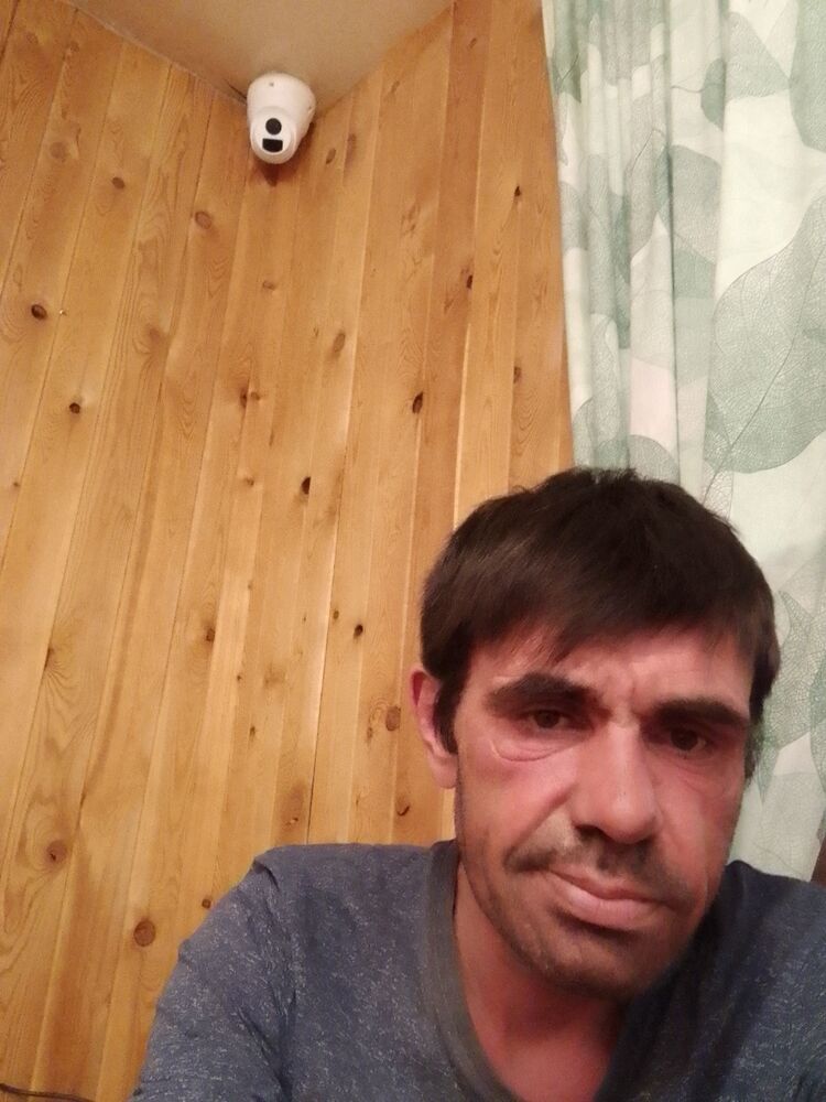  50161666  , 41 ,    