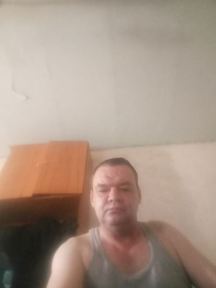  53627266  , 50 ,    