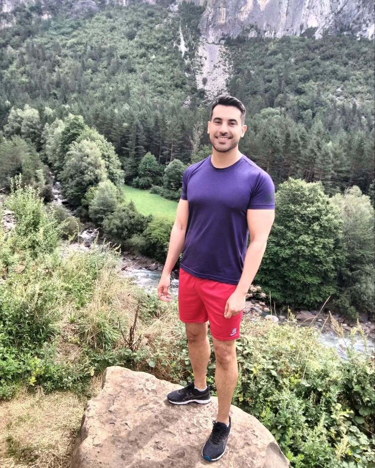 ���� 50313456 ������� �����, 36 ���, ���� ���������� � �����-����������