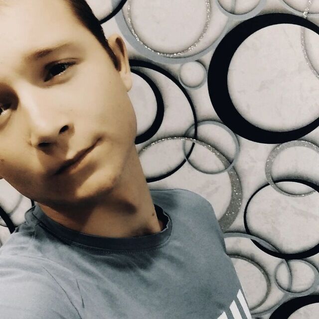  31561506  , 23 ,    