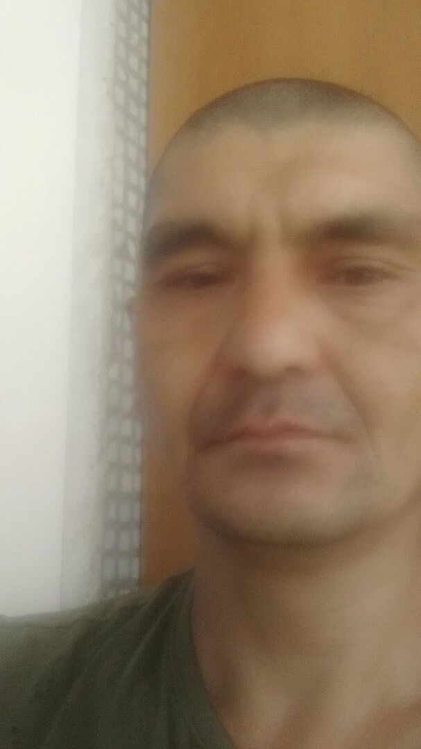  24067936  , 51 ,    