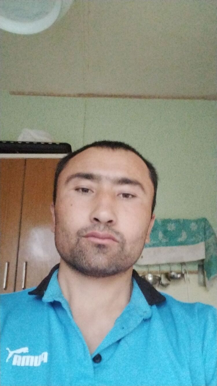  29545896  , 34 ,    
