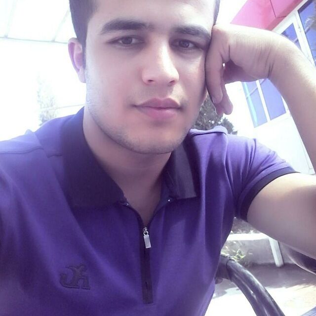  33073646  , 31 ,    