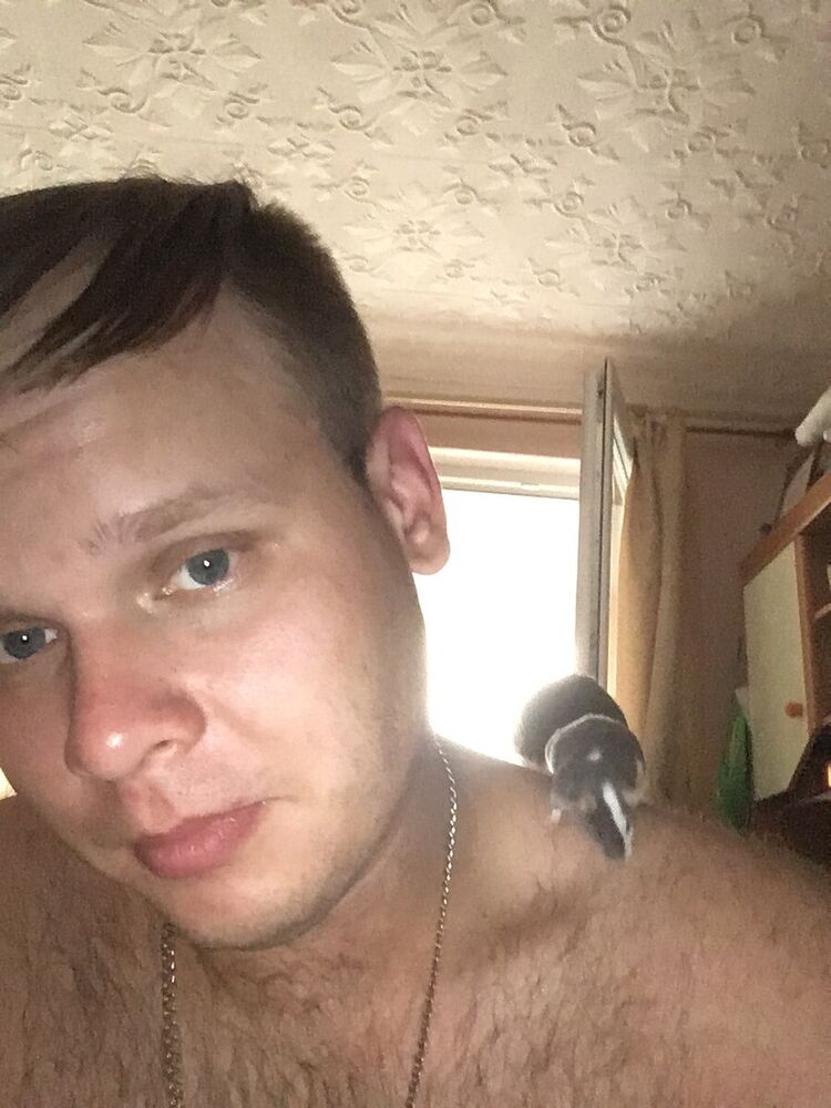 ���������� ����, ���� ������� ����, 36 ���, ������������ ��� ������, ����� � ���������, c�������� ���������