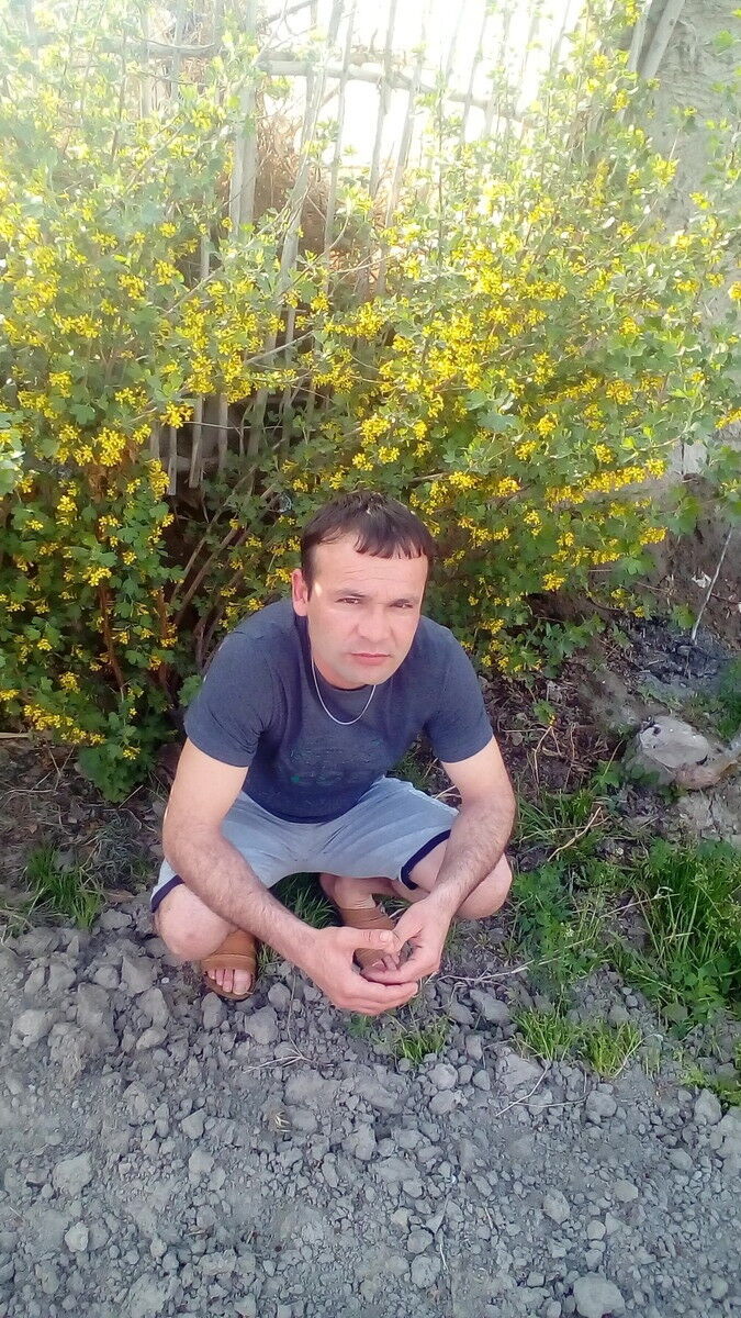  12536546  EDIK, 38 ,    