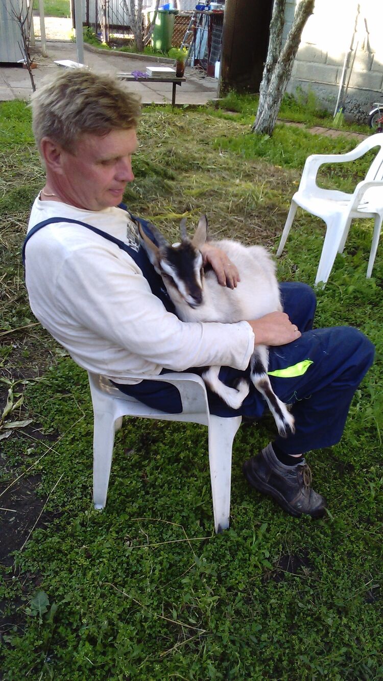 ���������� ������������, ���� ������� ����, 52 ����, ������������ ��� c�������� ���������, ���������