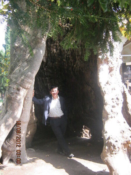 ���� 4270066 ������� ����, 40 ���, ���� ���������� � ���������