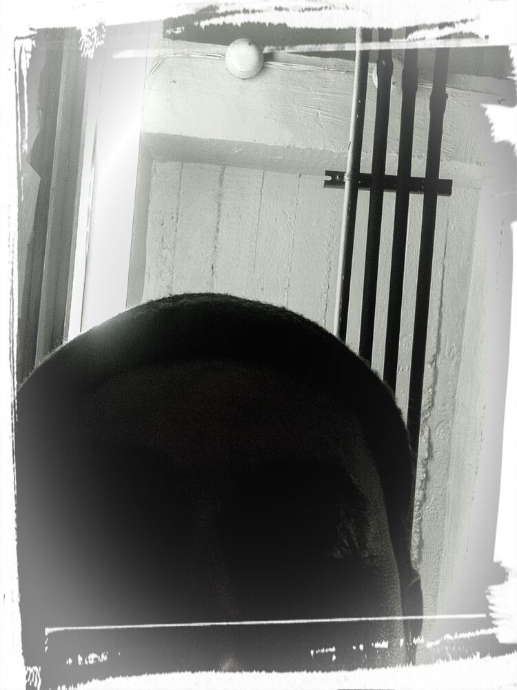 ���������� �����������, ���� ������� ����, 40 ���, ������������ ��� ������, ����� � ���������