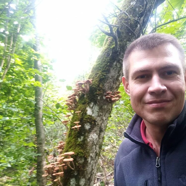  45079116  , 32 ,    -