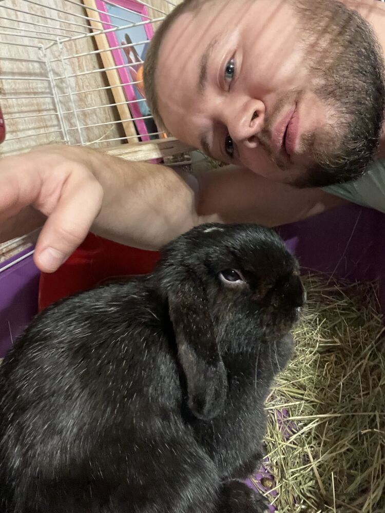 ���������� ������, ���� ������� ����, 32 ����, ������������ ��� ������, ����� � ���������