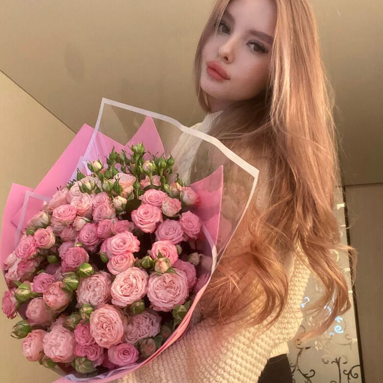 ���������� ������, ���� ������� ��������, 24 ����, ������������ ��� ������, ����� � ���������, c�������� ���������, ���������