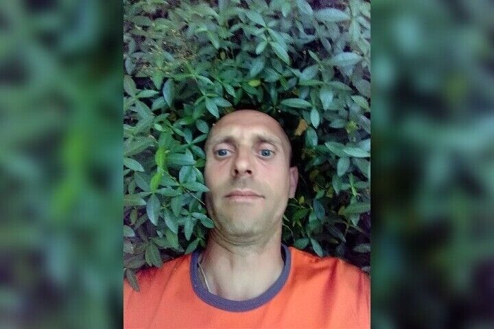 ���������� ����, ���� ������� ������, 44 ����, ������������ ��� ������, ����� � ���������, c�������� ���������