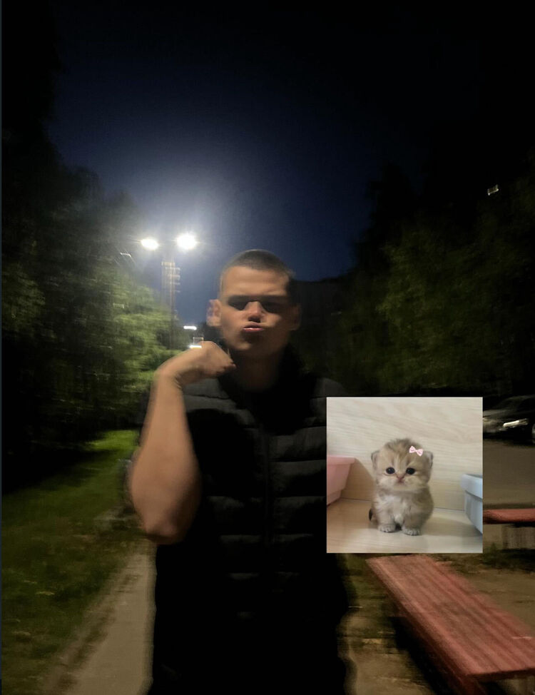  53843546  , 19 ,    -