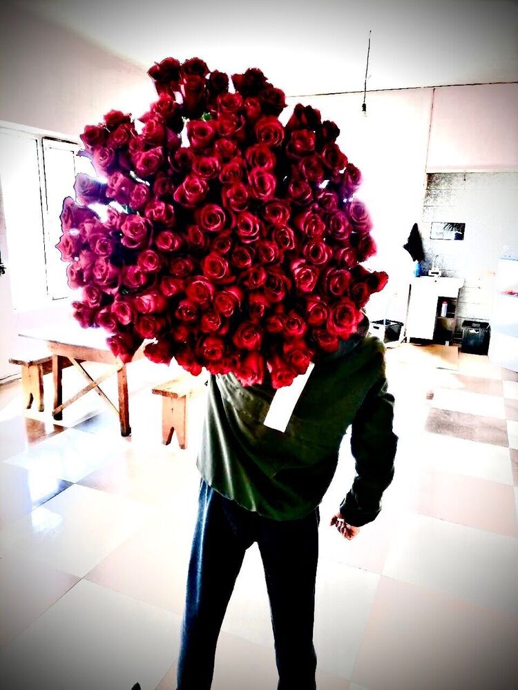 ���������� �����������, ���� ����� ����, 22 ����, ������������ ��� ����� � ���������