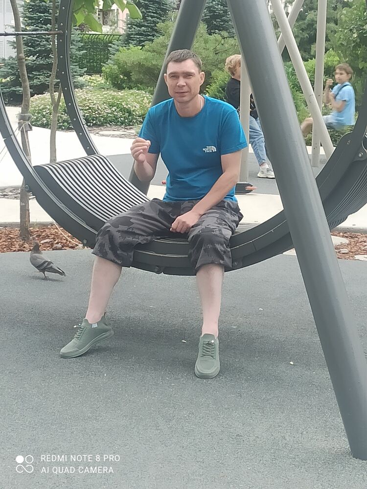  52878566  , 41 ,    -