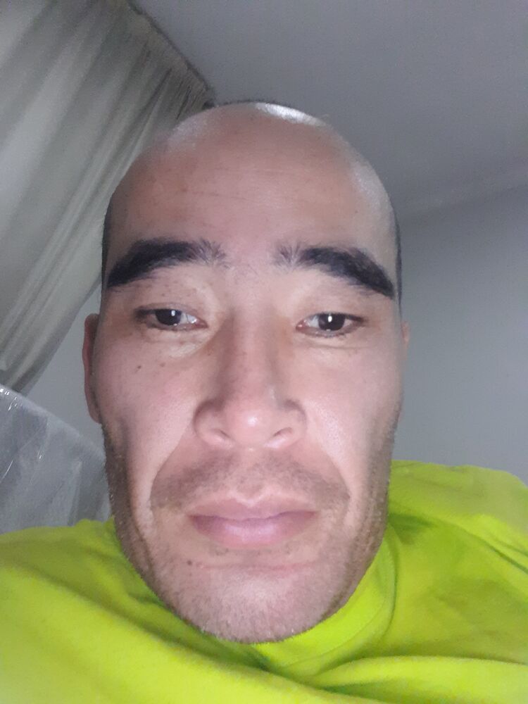  24558566  , 41 ,    