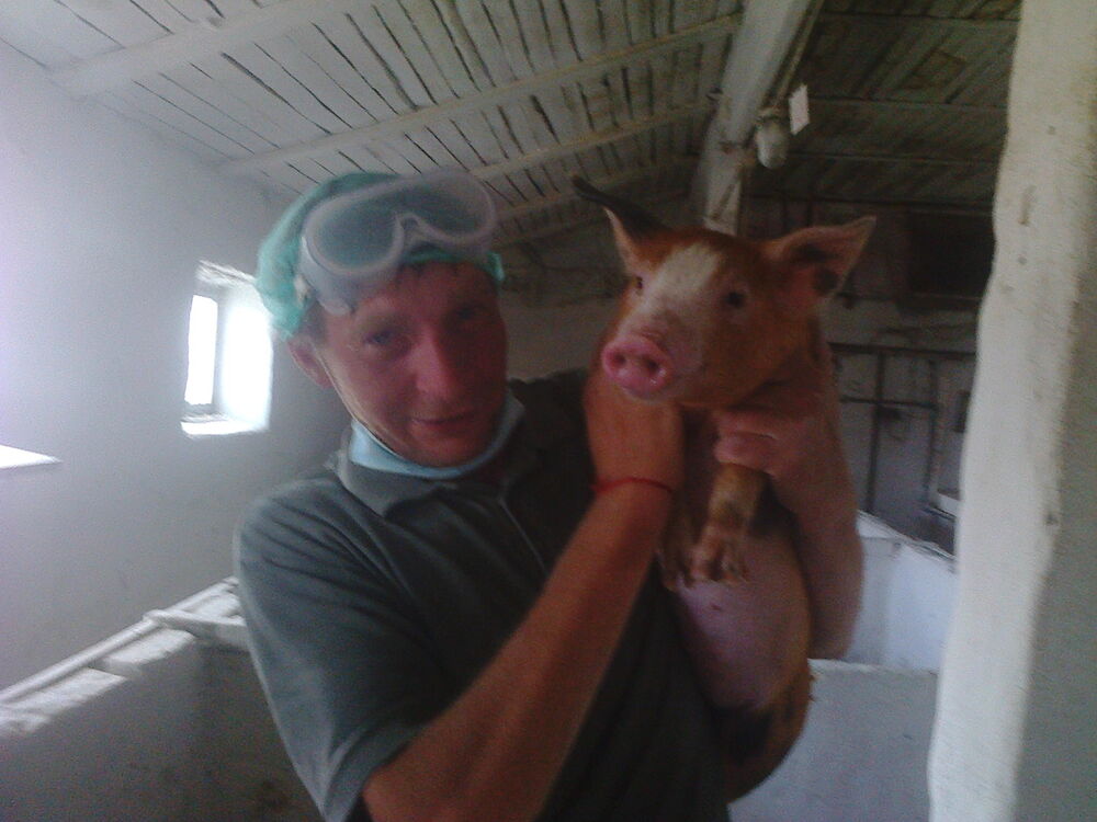 ���� 24204846 ������� �������, 50 ���, ���� ���������� � �������