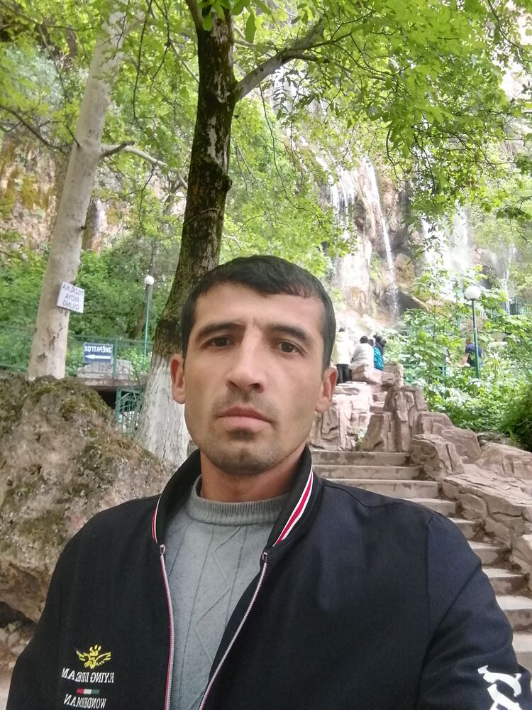  43355646  , 32 ,    