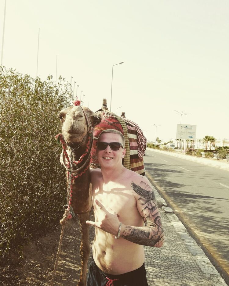 ���� 16394206 ������� ����, 32 ����, ���� ���������� � �������