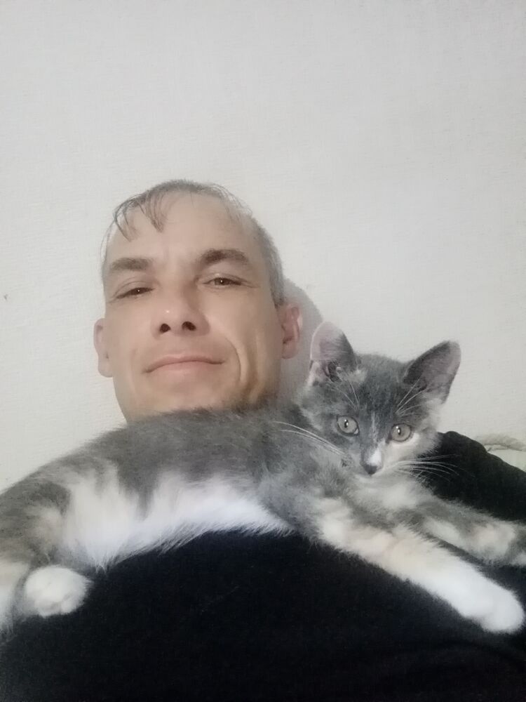 ���� 55581576 ������� �����, 36 ���, ���� ���������� � �������