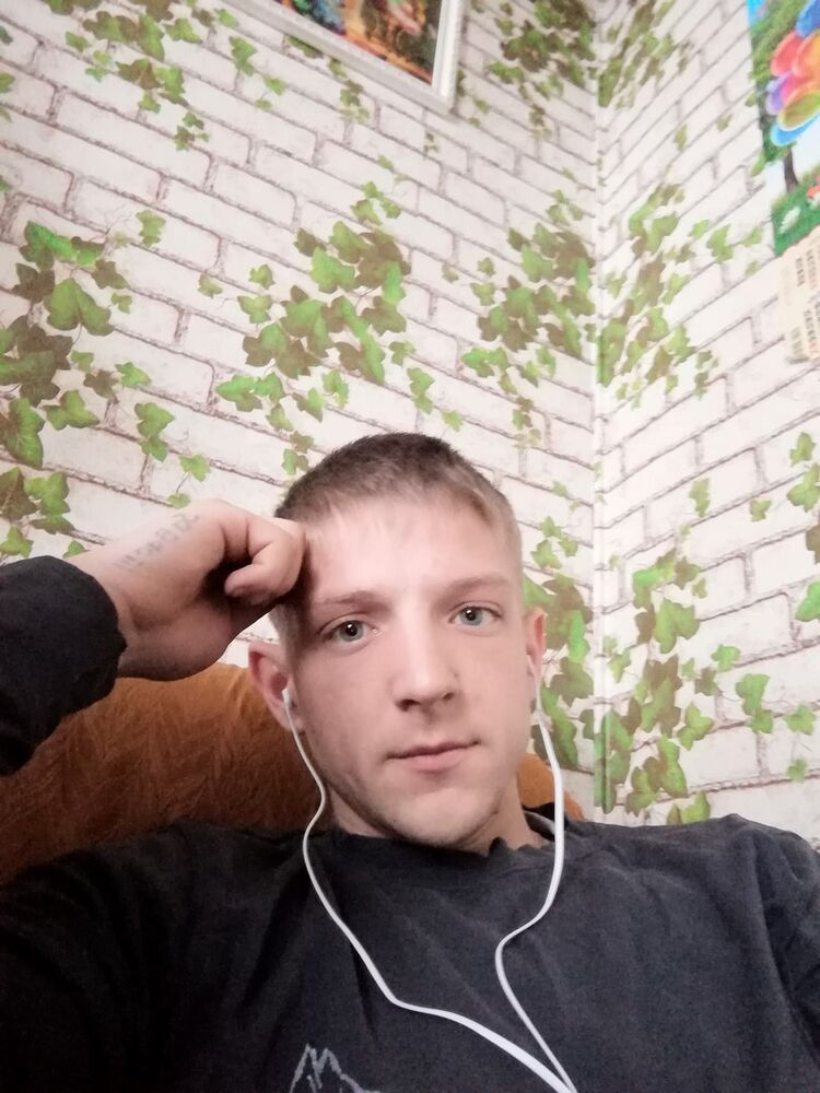  33393886  , 31 ,    