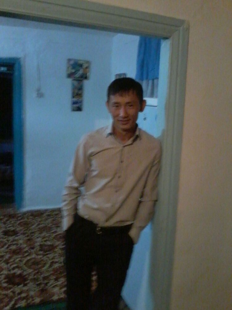  8262436  , 40 ,    -