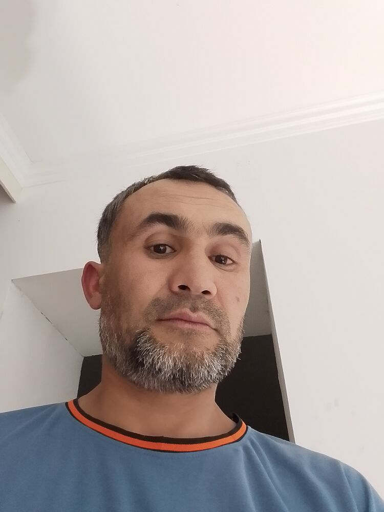  53630826  , 37 ,    